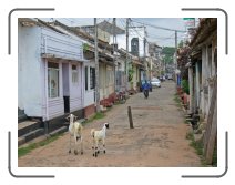 UM-ringreis1516 * Streets of Galle * 2272 x 1704 * (1.35MB)