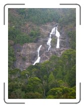 tasmaania29 * St Columbia Falls at Mt Victoria Forest Reserve * 1704 x 2272 * (1.21MB)